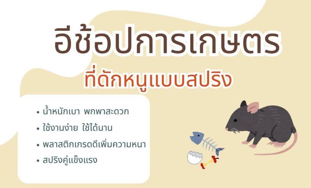 ที่ดักหนูขนาดใหญ่