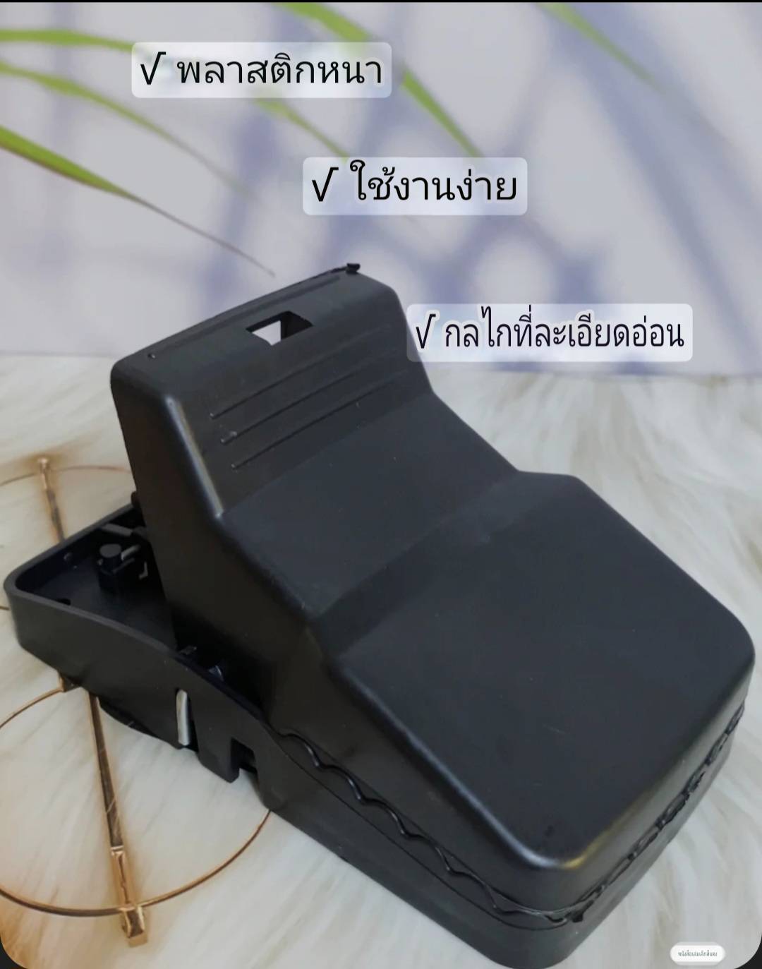 ที่ดักหนูขนาดใหญ่